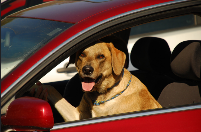 Three Top Tips for Calming Driving Test Nerves