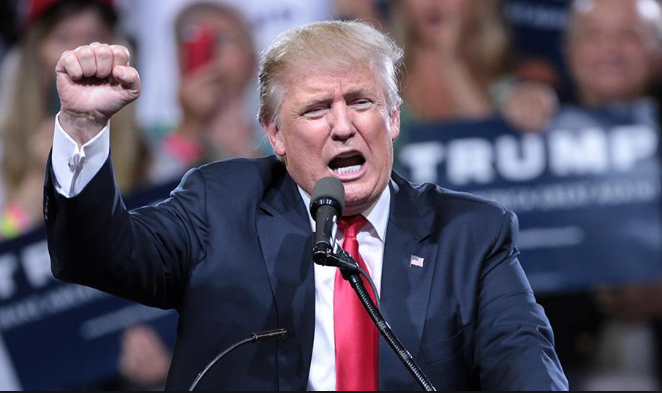 You Say Patriot. I Say Fascist. Don’t believe me? I’ll prove it.