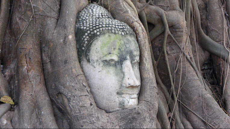 3 Things To Know About Environmental Consciousness And Spirituality