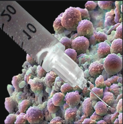 An Opinion on Vaccines