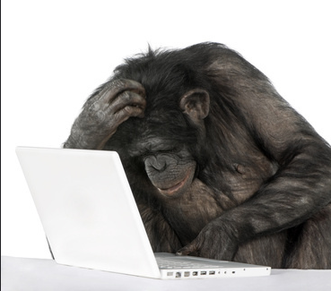 You Vs. Your Mind: Taming The Monkey Within