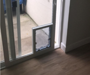 Pet Ready - The New Trend in Home Building