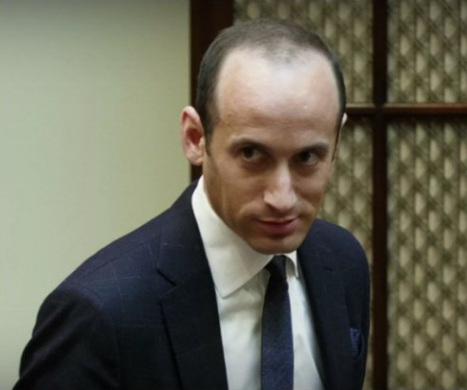 Addendum To Today's Most Punchable Faces 8/2