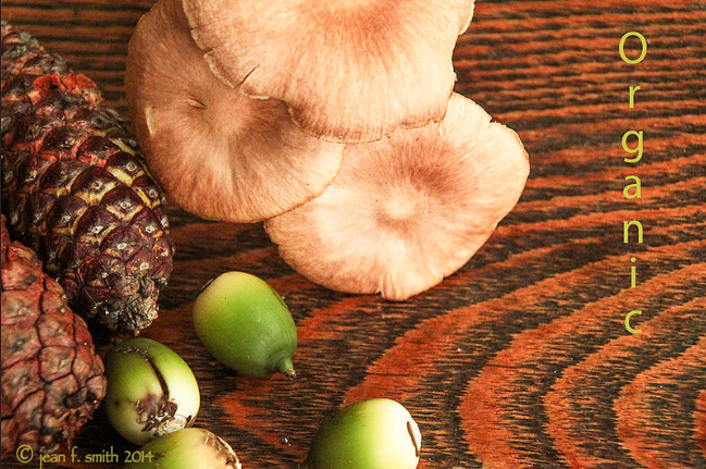 Backing the Trend of Eating Organic Produce