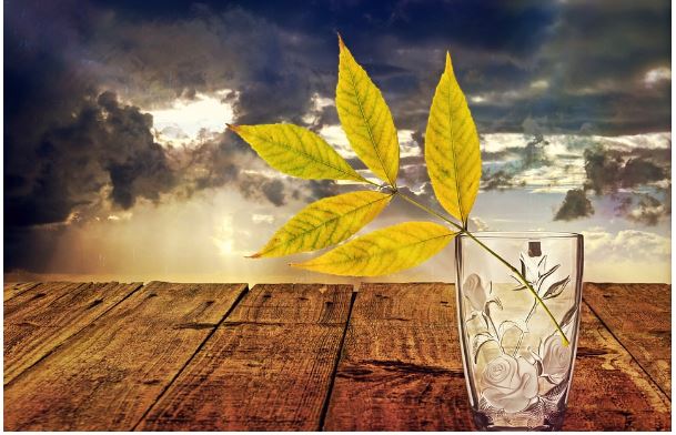 Keep Yourself Protected