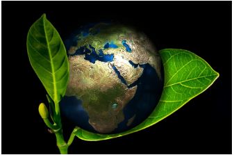 Go Green & Save Green