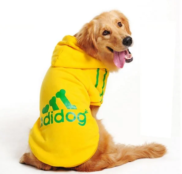 Know Your Niche: How To Survive As A Niche Business