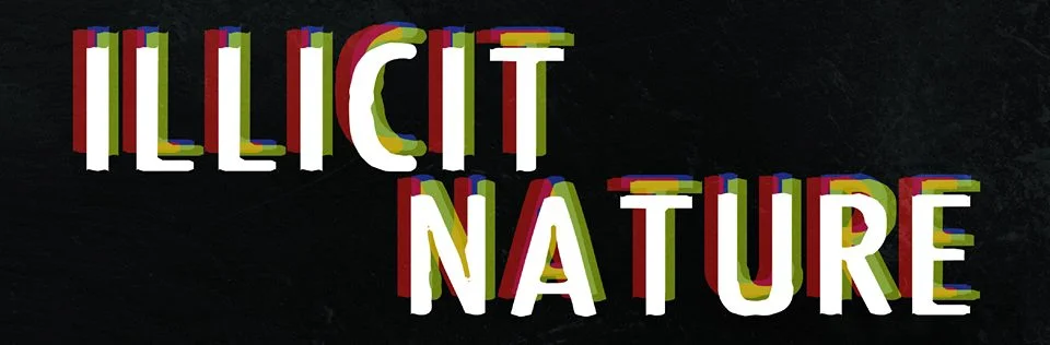 A Treefort Band Chat: Boise Band Illicit Nature is Emergent