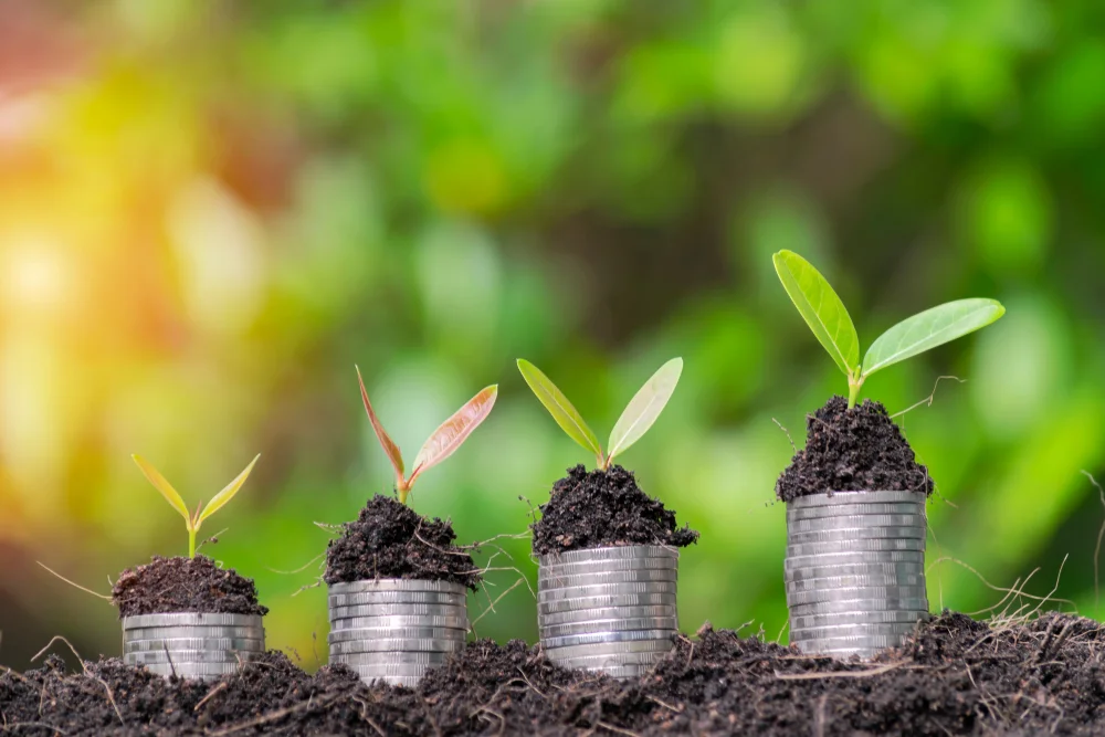 Easy Ways to Invest Your Money