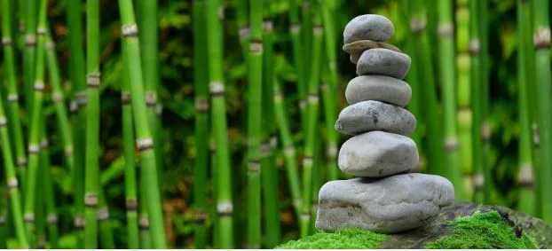 Keeping Your Zen when it’s All Going Wrong