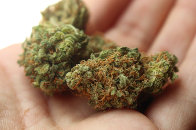 3 Strategies For Growing A Cannabis Business