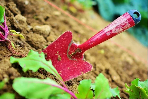 3 Ways To Manage Costs In The Landscaping Business