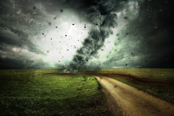 Protect And Prepare Your Business For A Natural Disaster