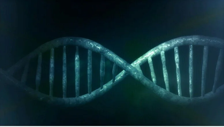How Understanding Genetics Could Be The Key To Our Future