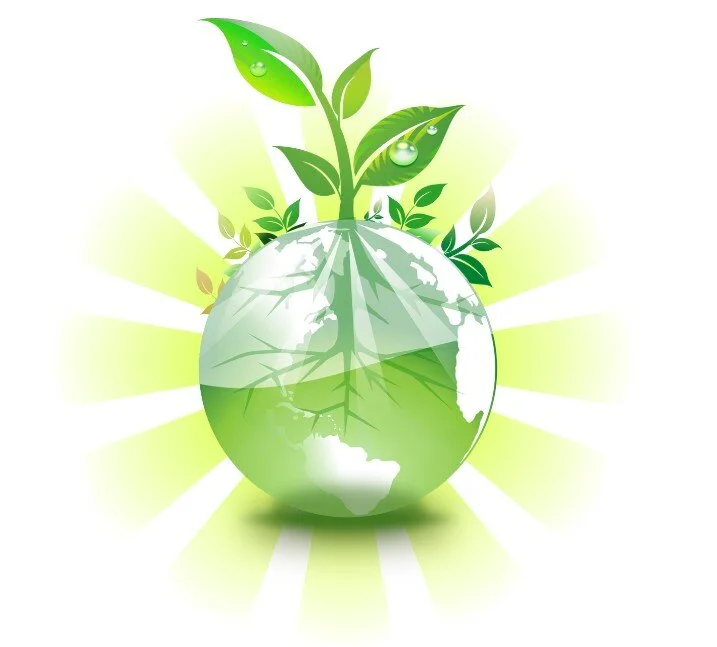 Small Steps To Make The World A Greener Place