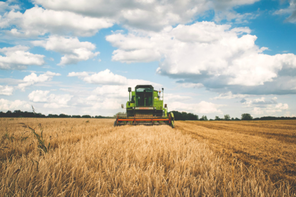 5 Methods to Implement in Farming to Become More Sustainable