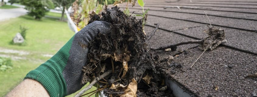 Why You Should Look into Adelaide Gutter Cleaning?