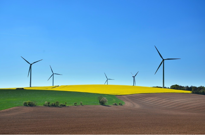 What Does Sustainability Look Like for Businesses?