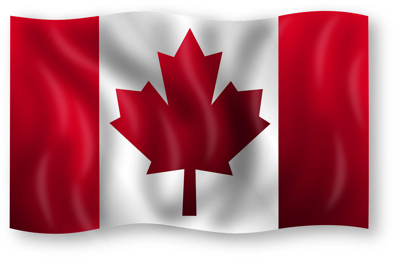 How Can No Credit Check Loans Canada Help Shape The Future Of Economy