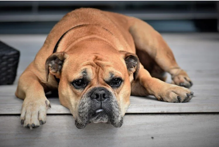 A Few Tips for Having a Better Experience with Your Weekends When Stuck at Home