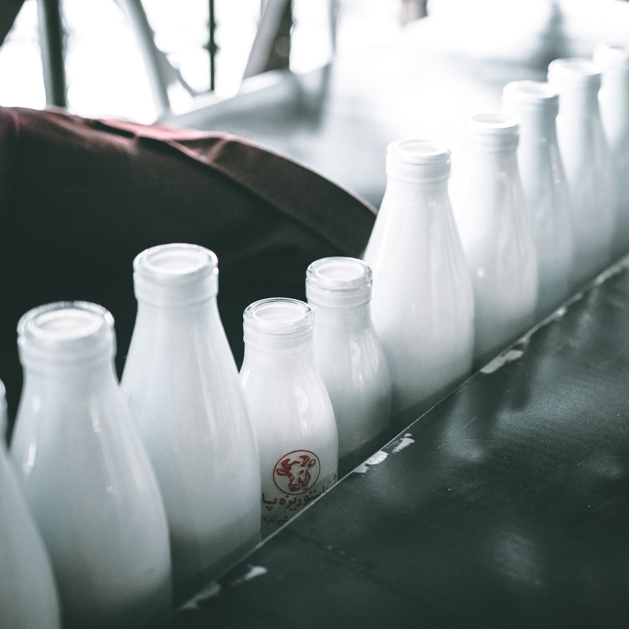 What Are The Types of Dairy Supply Machinery You Need To Know About?