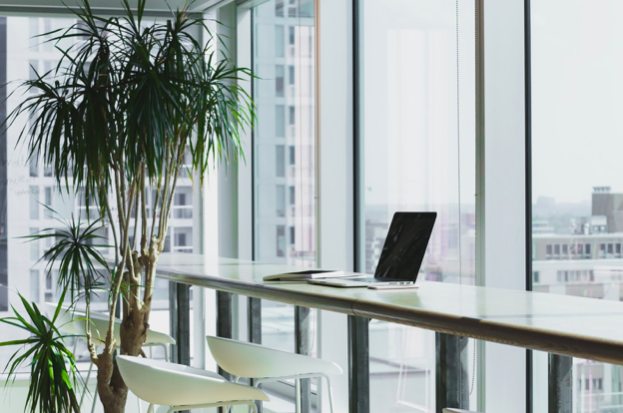 Create A Healthy Office Space In Five Easy Steps