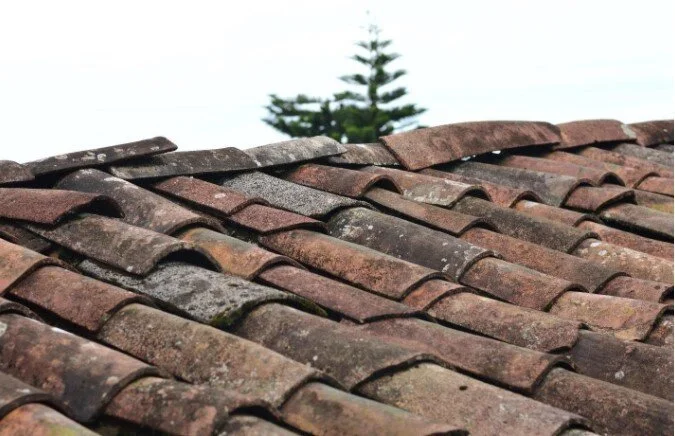 The Roof Dilemma: Knowing When To Replace or Repair
