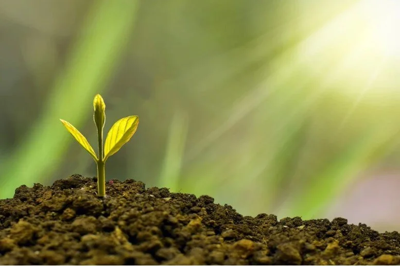 How Has Investing Changed?