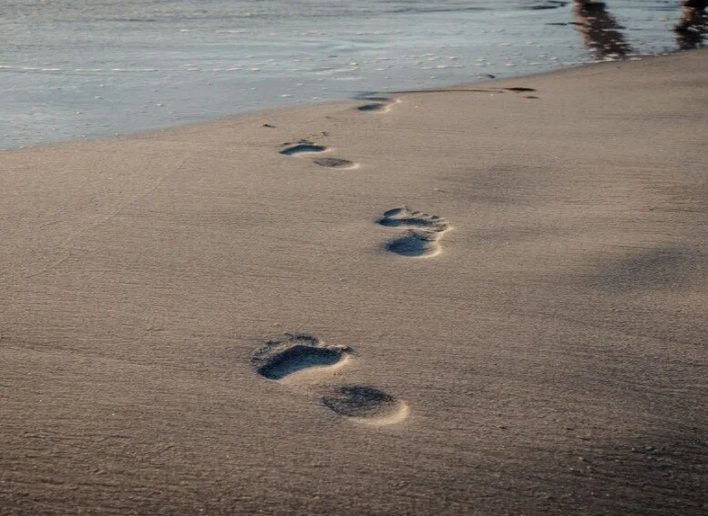 Little Known Facts About Your Carbon Footprint: 5 Effective Ways To Reduce It Today