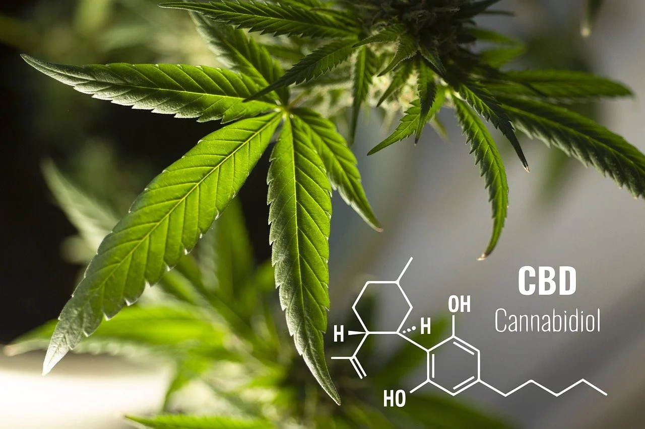 Five Reasons To Use CBD Oil For A Healthier Life
