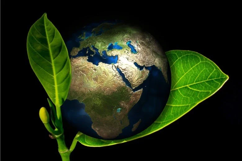 Greener Ways To Keep Your Business Clean