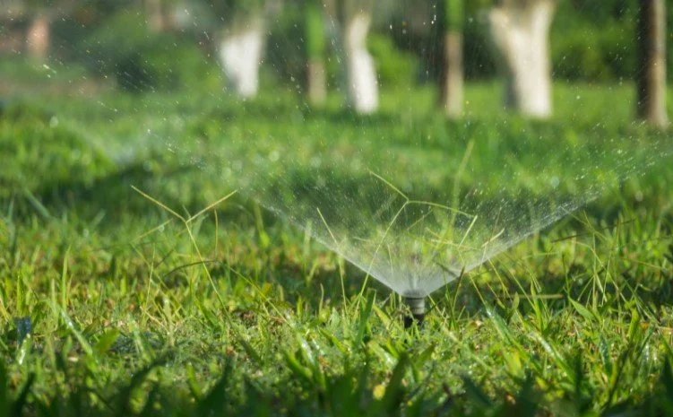 Gadgets Every Avid Gardener Needs