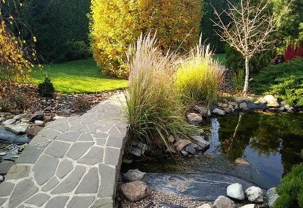 10 Pond Designs For Your New House