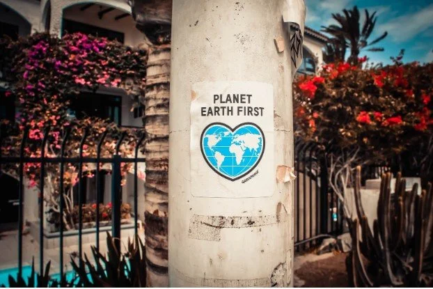 Sustainability &amp; Healthy Living: Top 4 Business Ideas For You To Consider This Year