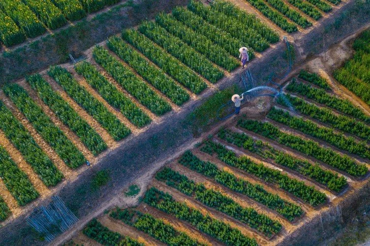 How to Avoid Contamination in Farm Water Supply