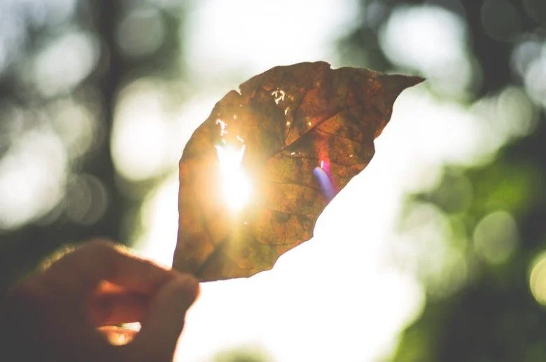 How To Prepare Your Home For The Ongoing Heatwave