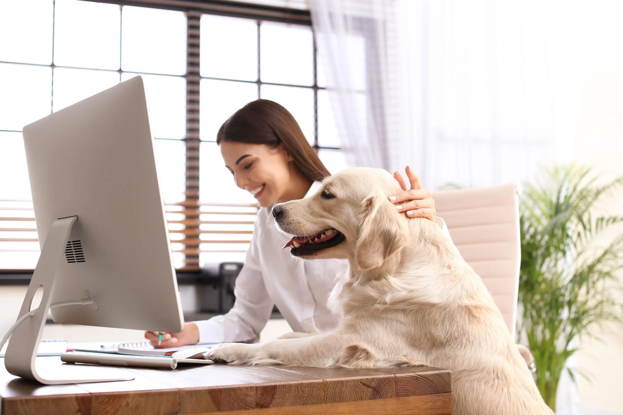 Side Hustles To Start In The Comfort Of Your Own Home