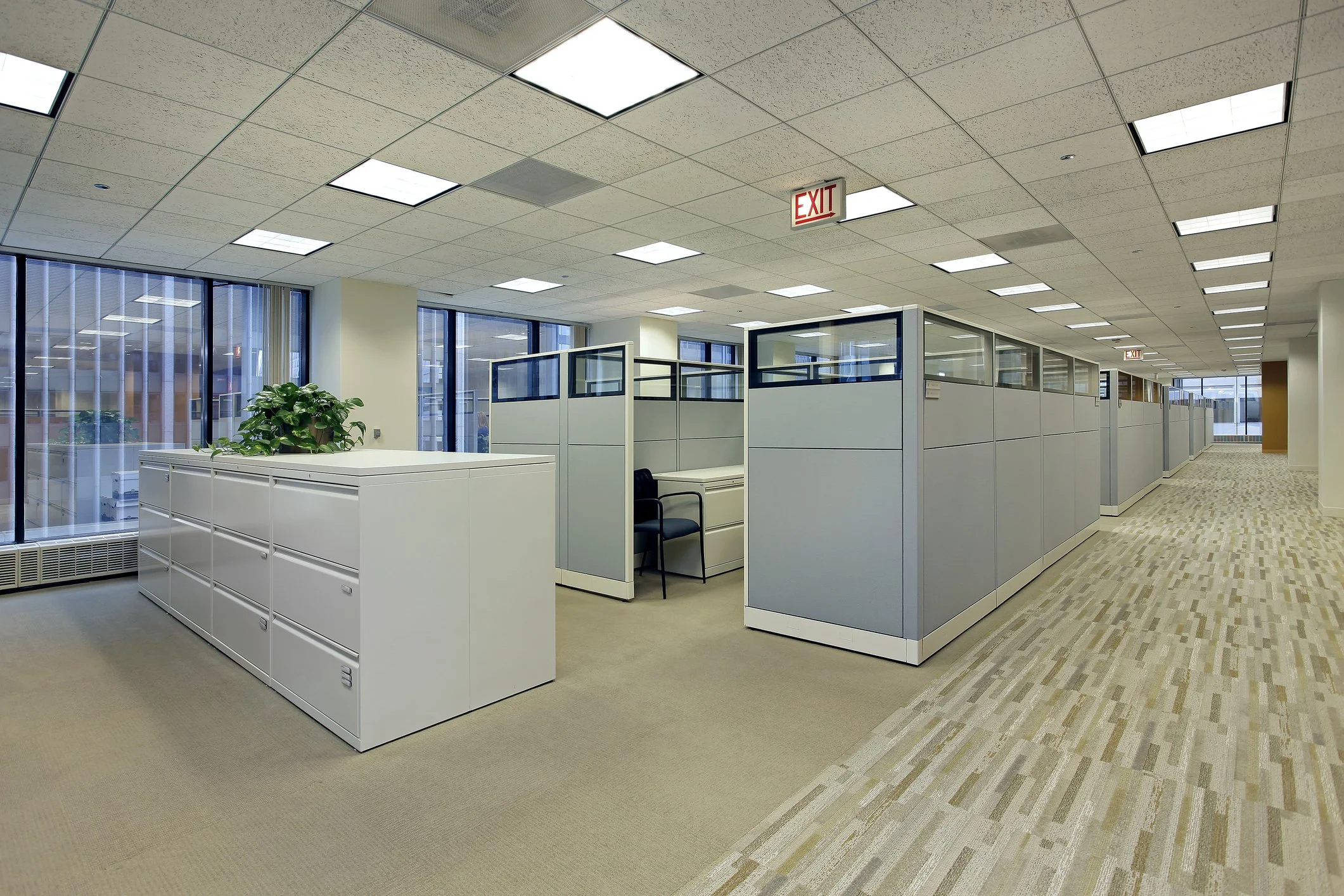 3 Ways Cubicles Outperform the Open Office Design