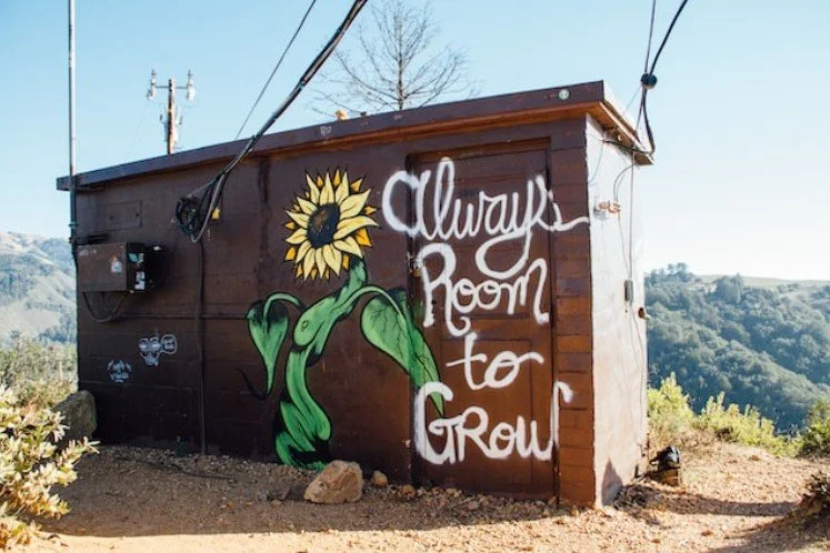 How To Expand Your Business