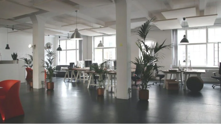How To Elevate Your Office Space On A Budget