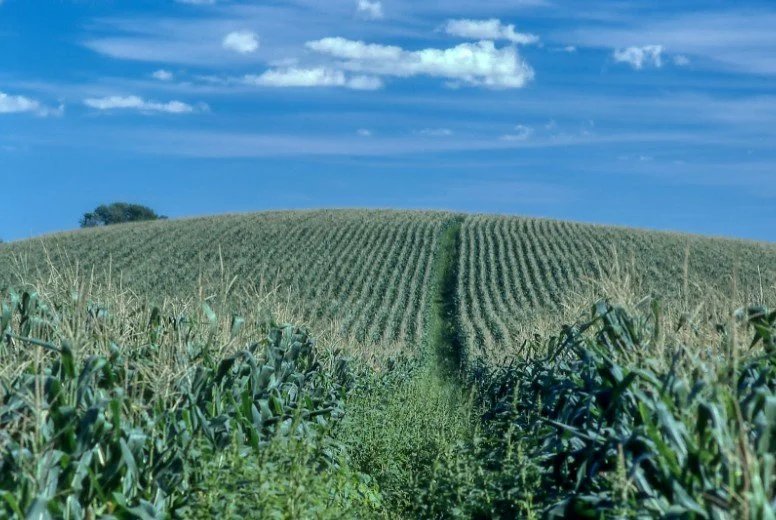 Tips for Growing Your Farm