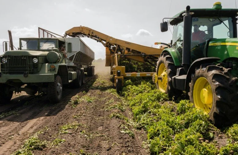 Looking for ways to Boost Your Agricultural Business: Use These 4 Tips