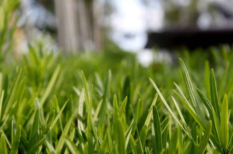 How to Seriously Enhance Your Yard Area