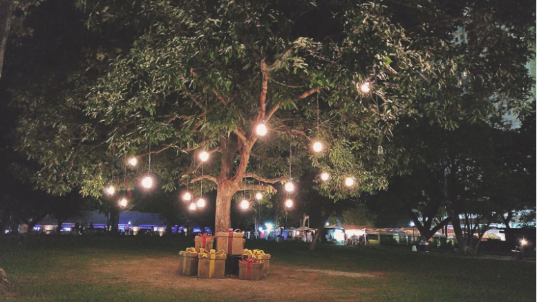 The Great Outdoors Awaits! Planning A Fun and Relaxing Night In The Park