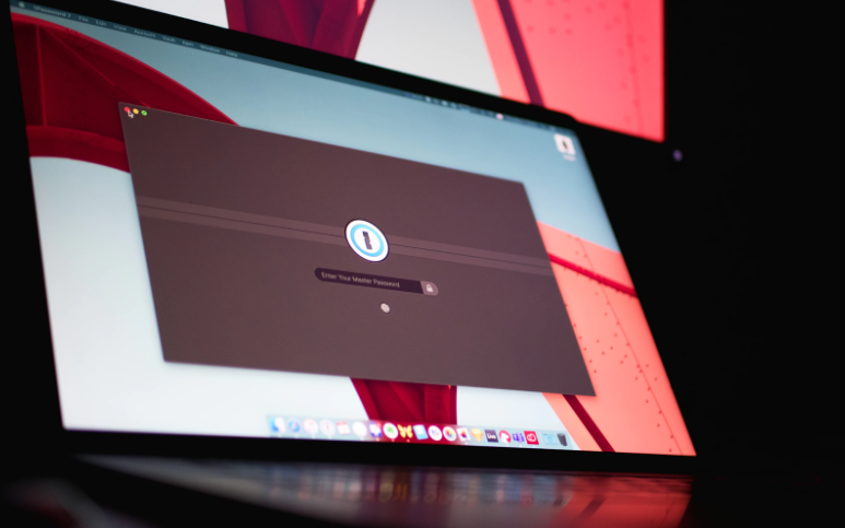 Technology Distrust or How to Navigate The Digital Password Fortress