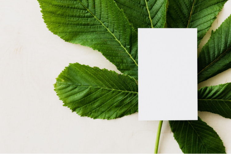  Pushing For Carbon Neutral In Your Business: 4 Areas To Look At