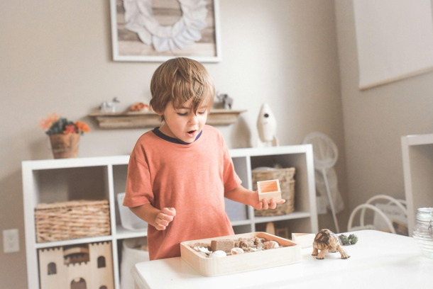 How Montessori Toys Help Toddlers Build Basic Skills Through Play