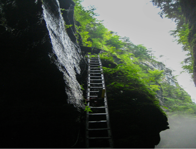 Continuously Improving Your Business For The Better