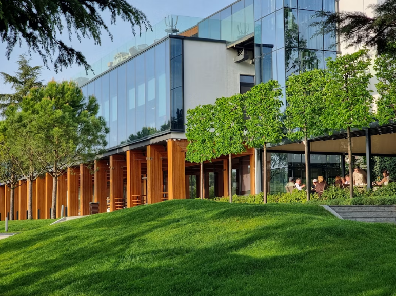 Sustainable Landscaping Practices for Commercial Properties