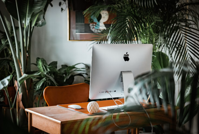 The Unseen Disruptor: How Indoor Air Quality Affects Everything